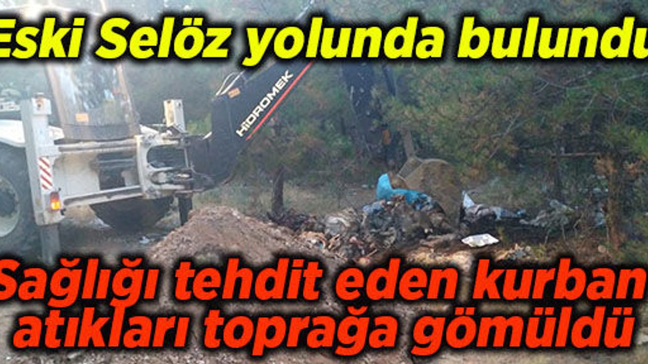 Sağlığı tehdit eden kurban atıkları toprağa gömüldü