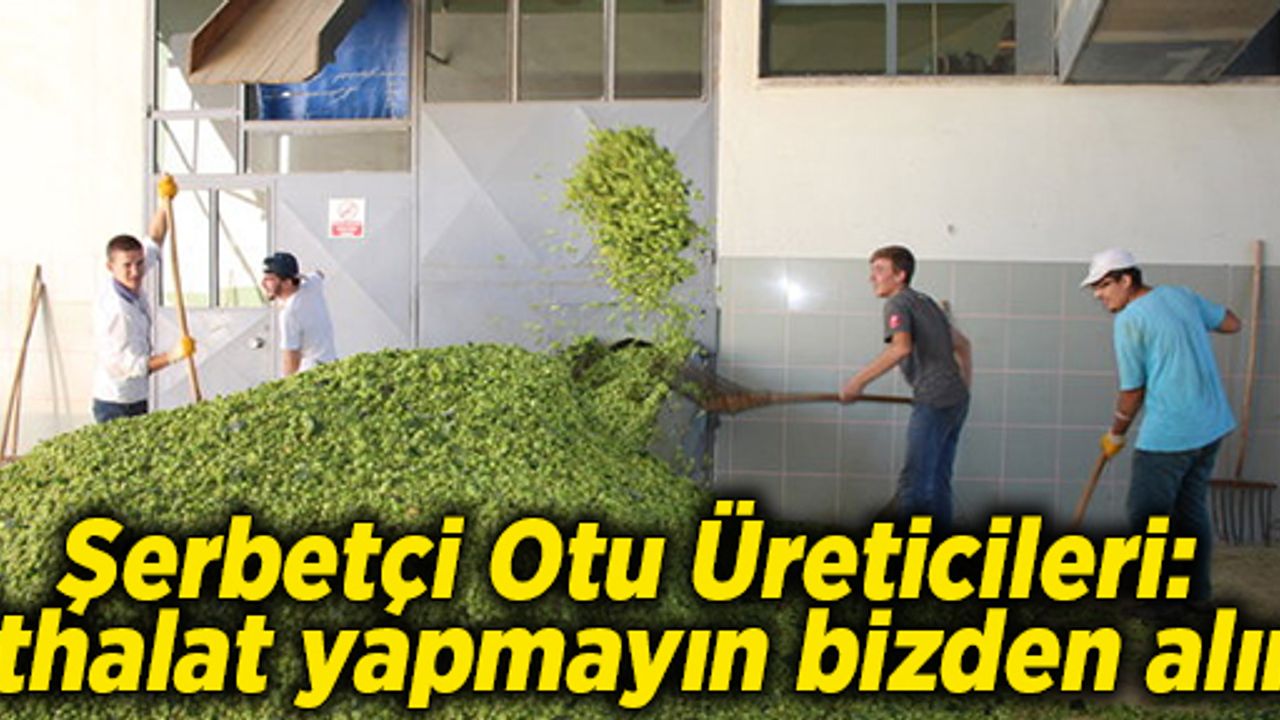 Şerbetçi Otu Üreticileri: İthalat yapmayın bizden alın