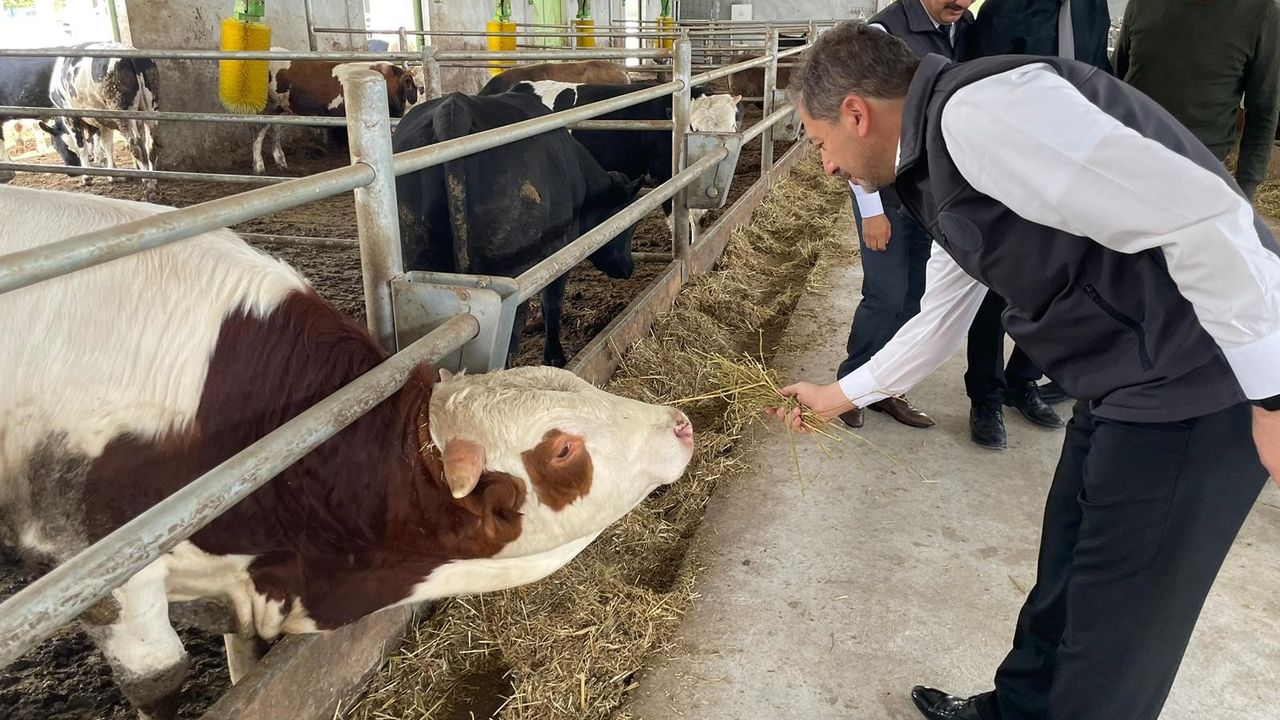 "Geçen yıl Kütahya’da girişimcilere TKDK’dan 106, Kırsal Kalkınma'dan 58 destekleme verildi"