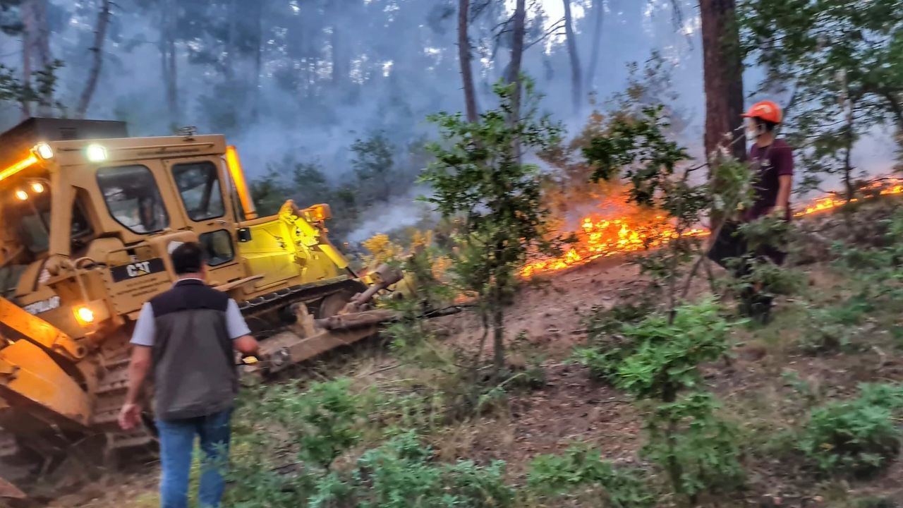 9 saat sonra kontrol altına alınan yangında 180 hektarlık alan zarar gördü