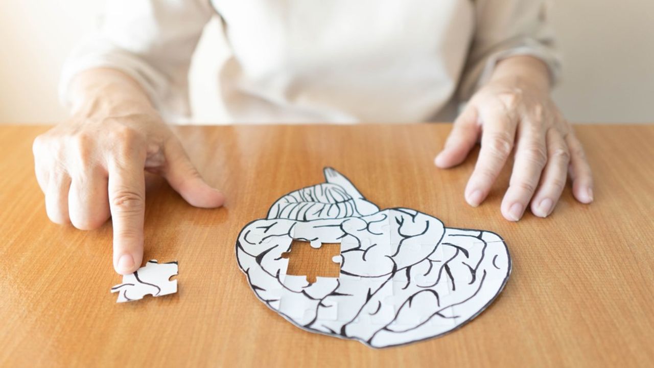 “85 yaş üstü kişilerin yaklaşık yüzde 50'sinde Alzheimer var”