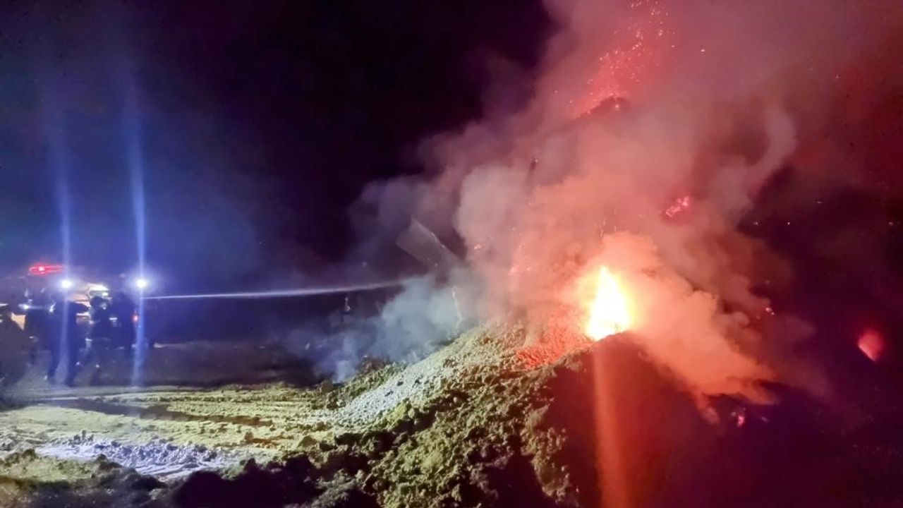 Yangında 20 büyükbaş hayvan yanmaktan son anda kurtarıldı