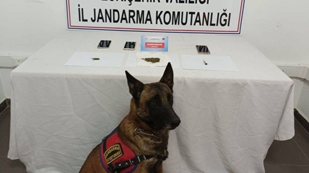 Jandarma uyuşturucu operasyonlarında 26 şüpheli şahıs hakkında işlem yaptı