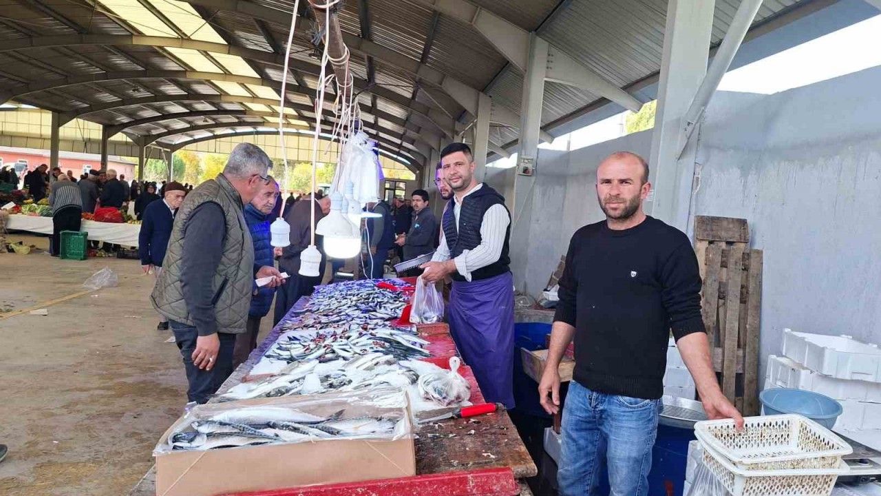 Balık bollaştı, fiyatlar düştü