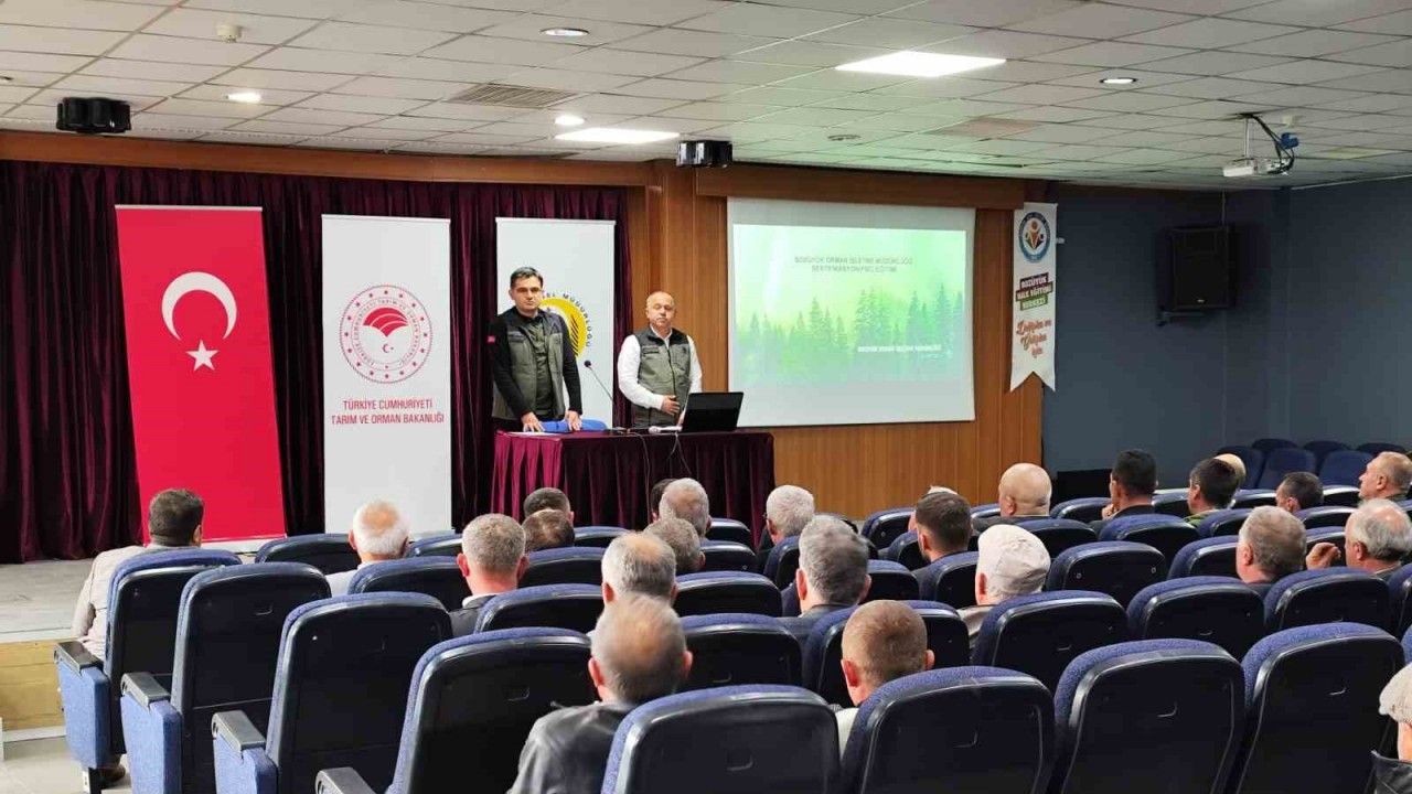 Bozüyük ormanları sertifikalandırılıyor