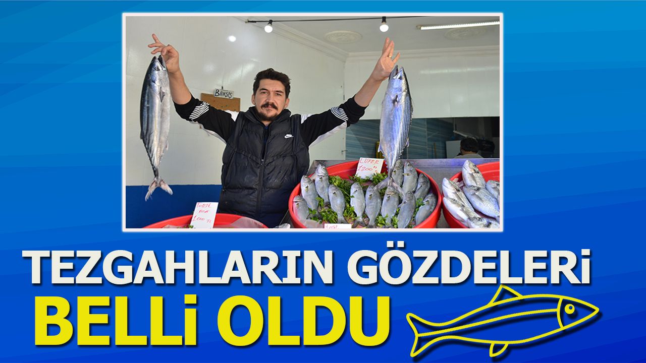 TEZGAHIN GÖZDELERİ BELLİ OLDU