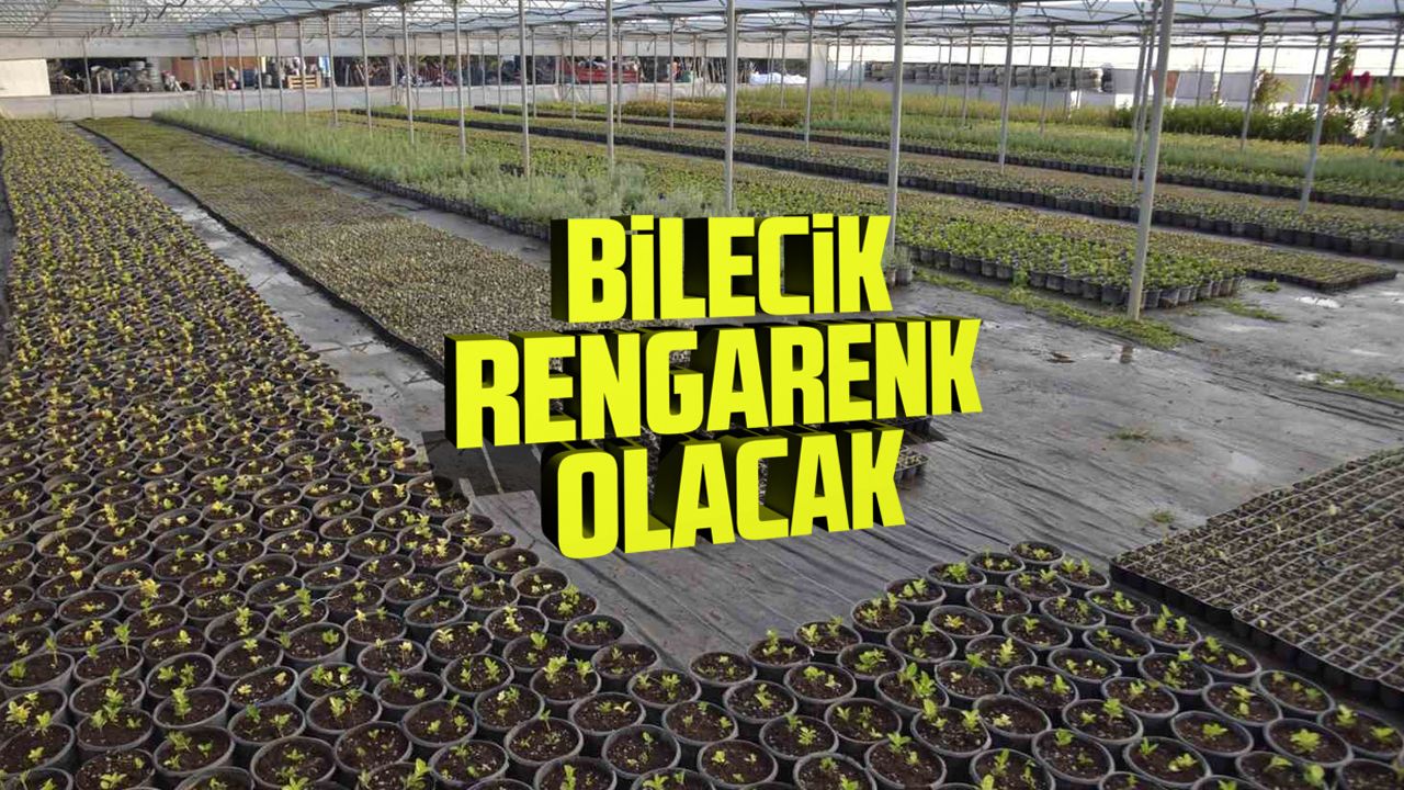 Bilecik rengarenk olacak