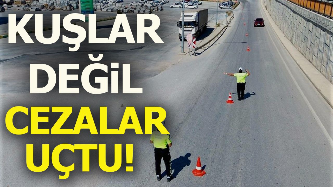 KUŞLAR DEĞİL CEZALAR UÇTU