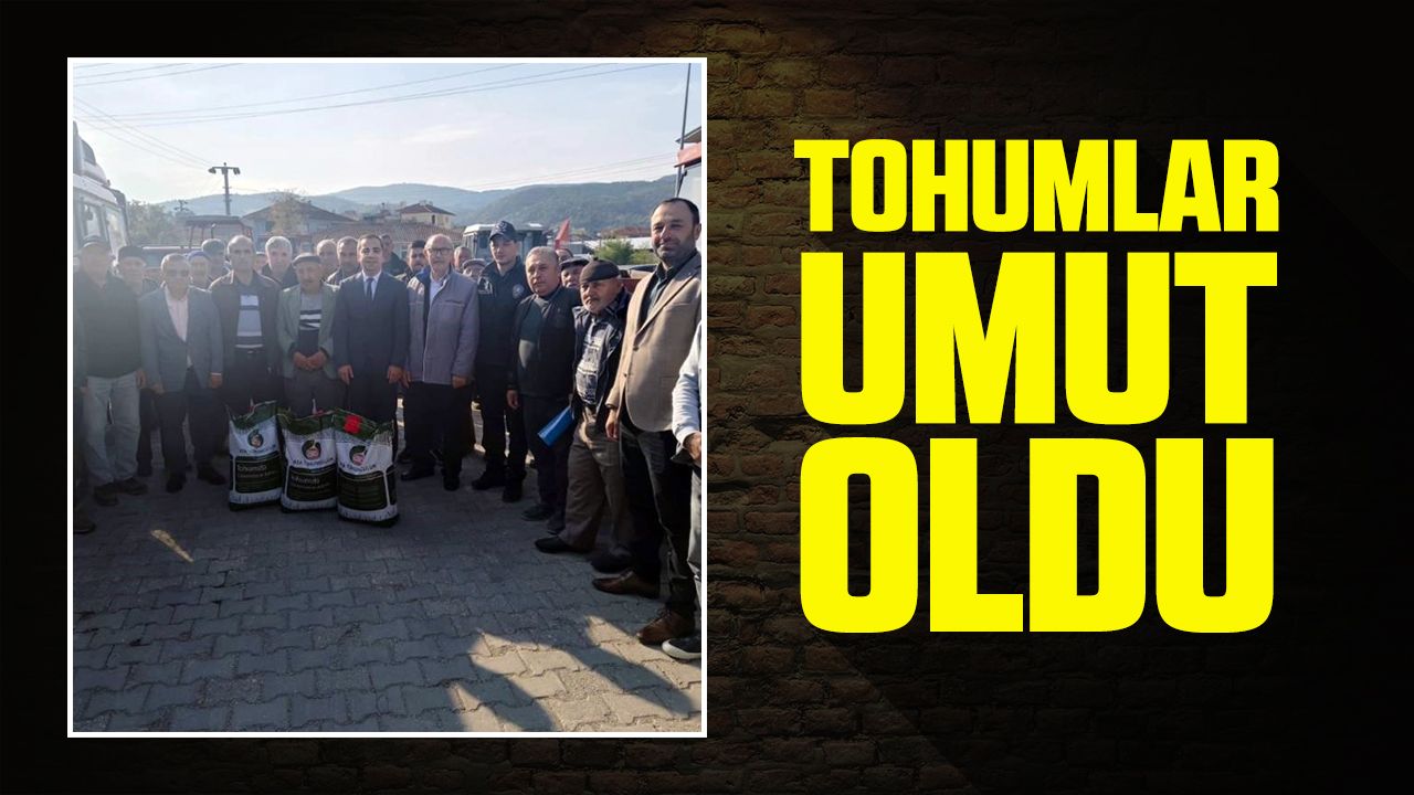 Tohumlar umut oldu