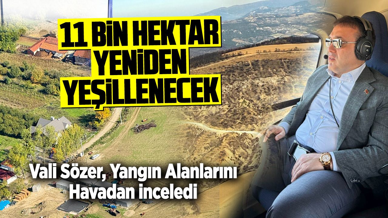 11 Bin Hektar Yeniden Yeşillenecek