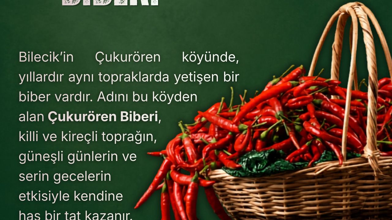 Çukurören Biberi Sofralara Lezzet Katıyor