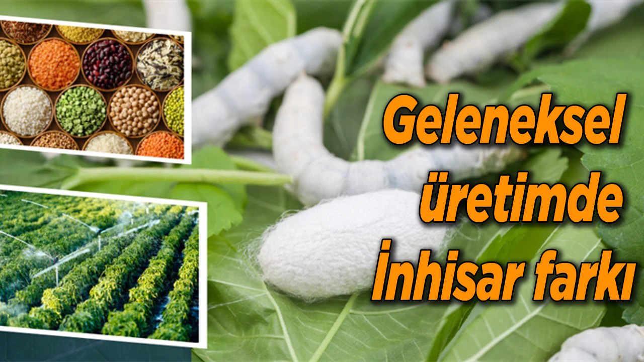 Geleneksel üretimde İnhisar farkı