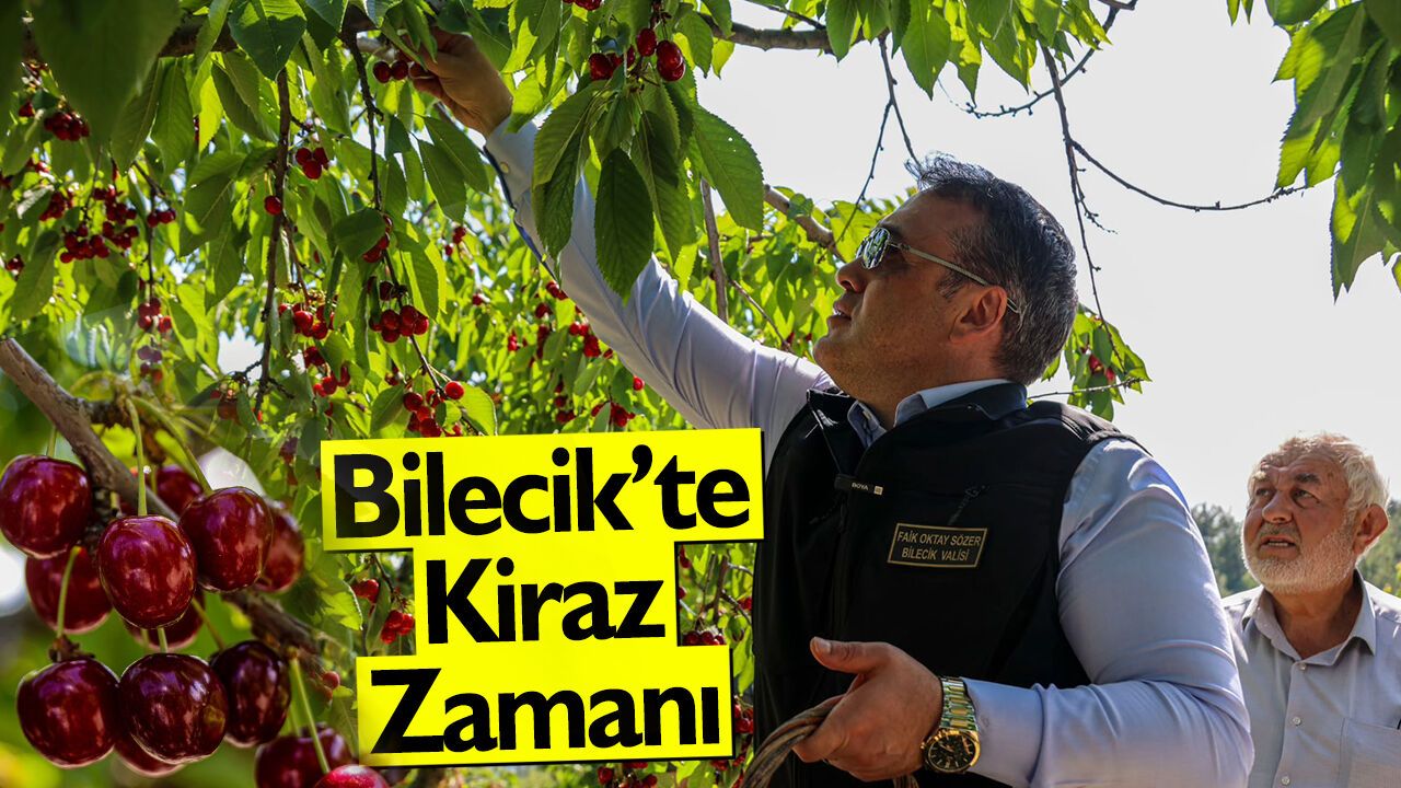Bilecik'te Kiraz Zamanı