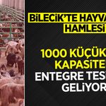 BİLECİK’TE HAYVANCILIK HAMLESİ: 1000 KÜÇÜKBAŞ KAPASİTELİ ENTEGRE TESİSLER GELİYOR!