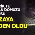 Bilecik'te Yaban Domuzu Sürüsü Kazaya Neden Oldu