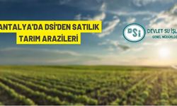 DSİ'den satılık 46 adet tarım arazisi