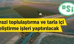 Arazi toplulaştırma ve tarla içi geliştirme işleri yaptırılacak