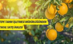Boztepe Tarım İşletmesi Müdürlüğünden portakal satış ihalesine davet