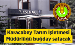 Karacabey Tarım İşletmesi Müdürlüğü buğday satacak