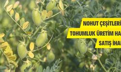 Eskişehir'de Tohumluk Üretim Hakkı Satış İhalesi