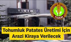 Tohumluk Patates Üretimi İçin Arazi Kiraya Verilecek