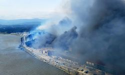 Güney Kore'de orman yangını: 300 kişi tahliye edildi