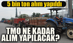 TMO'YA  DAHA NE KADAR ALIM YAPILACAK?