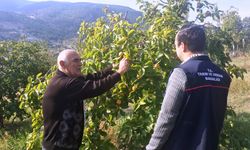 Çiftçilere meyve ağaçlarında bitki sağlığı ile ilgili mücadele yöntemleri anlatıldı