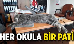 HER OKULA BİR PATİ