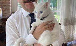 Veteriner hekimlerin gününü kedisi Pamuk ile kutladı