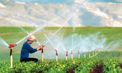 Eskişehir’de 448 bin dekar tarım arazisi sulanacak