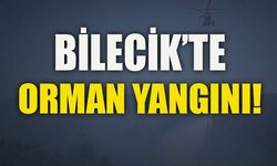 BİLECİK'TE ORMAN YANGINI!