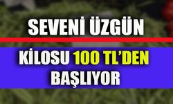 SEVENİ ÜZGÜN, KİLOSU 100 TL'DEN BAŞLIYOR