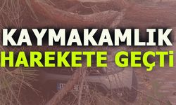 KAYMAKAMLIK HAREKETE GEÇTİ!