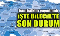 İSTATİSTİKLER YAYINLANDI  İŞTE BİLECİK’TE SON DURUM