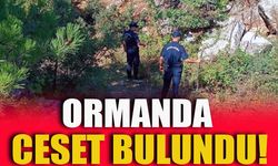 BİLECİK'TE ORMANDA CESET BULUNDU!