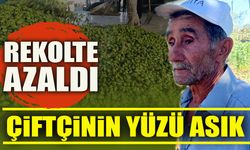 REKOLTE AZALDI, ÇİFTÇİNİN YÜZÜ ASIK