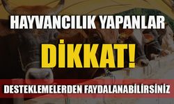 HAYVANCILIK YAPANLAR DİKKAT! DESTEKLEMELERDEN FAYDALANABİLİRSİNİZ