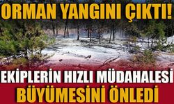 ORMAN YANGINI ÇIKTI! EKİPLERİN HIZLI MÜDAHALESİ BÜYÜMESİNİ ÖNLEDİ