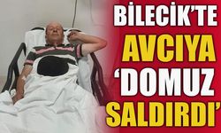 BİLECİK'TE AVCIYA DOMUZ SALDIRDI!