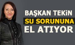 BAŞKAN TEKİN SU SORUNUNA EL ATIYOR