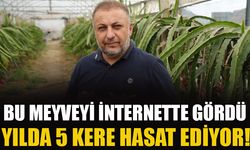 BU MEYVEYİ İNTERNETTE GÖRDÜ, YILDA 5 KERE HASAT EDİYOR!