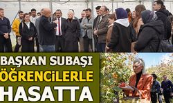 BAŞKAN SUBAŞI ÖĞRENCİLERLE HASATTA