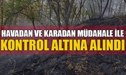 HAVADAN VE KARADAN MÜDAHALE İLE KONTROL ALTINA ALINDI