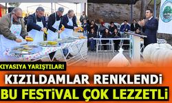 KIZILDAMLAR RENKLENDİ... BU FESTİVAL ÇOK LEZZETLİ!