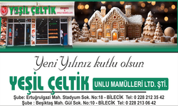 YEŞİL ÇELTİK YENİ YIL KUTLAMA