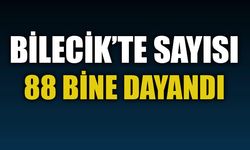 BİLECİK'TE SAYISI 88 BİNE DAYANDI