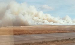 Mısır tarlasında korkutan yangın