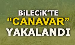 BİLECİK'TE "CANAVAR" YAKALANDI