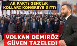 AK PARTi GENÇLiK  KOLLARI KONGREYE GiTTi